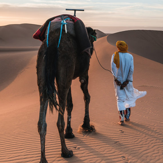 camel tour in Morocco